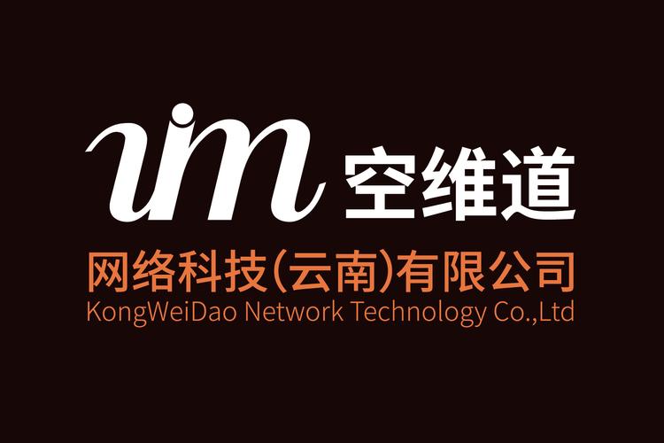 空维道网络科技 数字化时代的信息咨询服务新范式