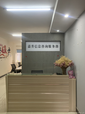 嘉升信息咨询 专业信息咨询服务，助力企业决策与发展